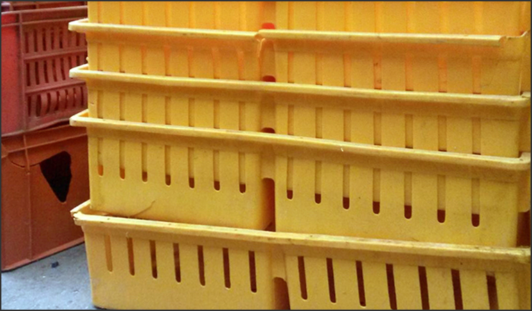 Venda sus canastas plásticas aquí